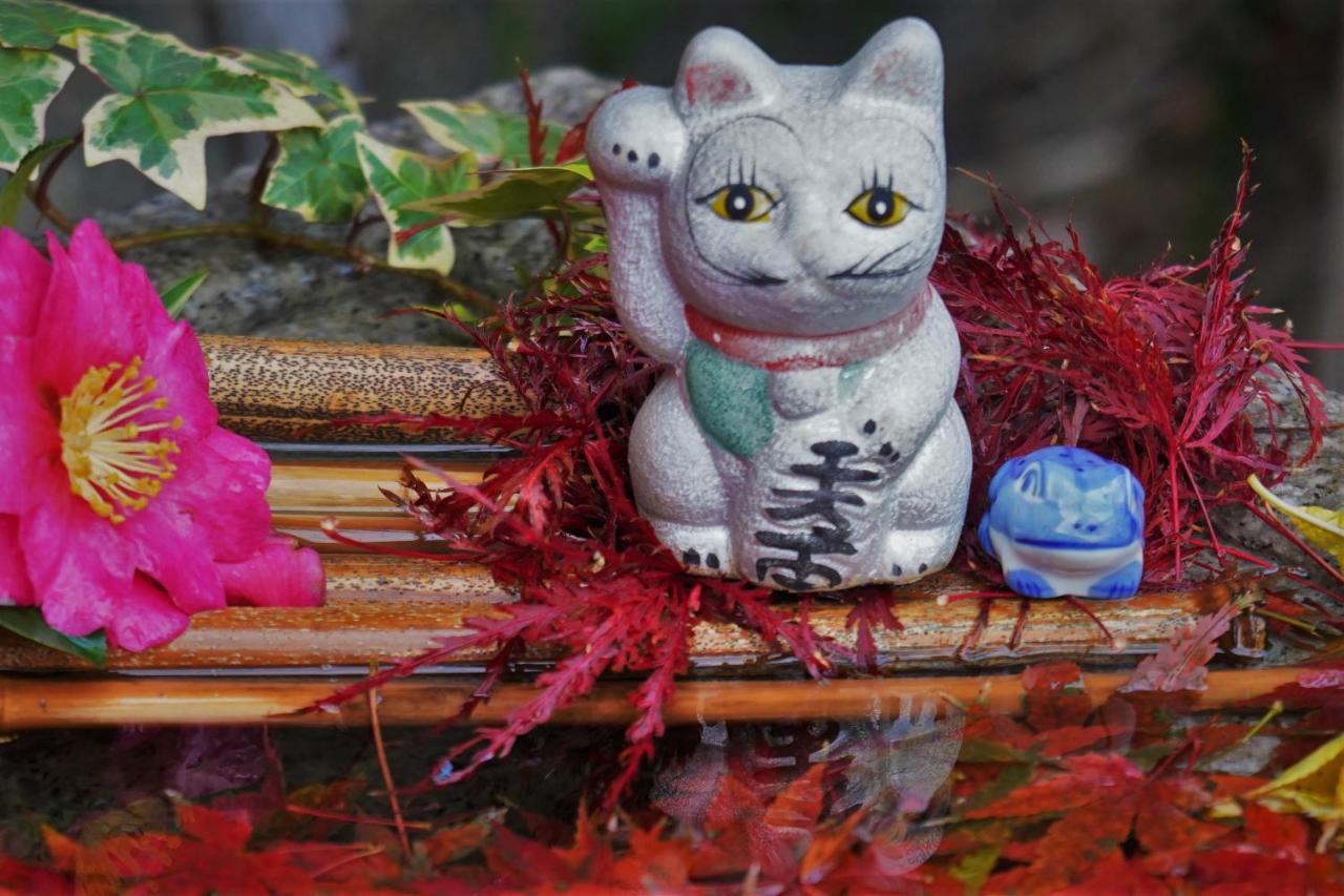 קיוטו Ryokan Shimizu מראה חיצוני תמונה